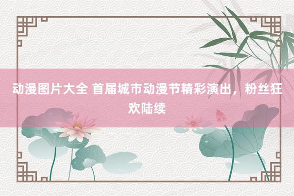 动漫图片大全 首届城市动漫节精彩演出，粉丝狂欢陆续