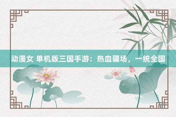 动漫女 单机版三国手游：热血疆场，一统全国