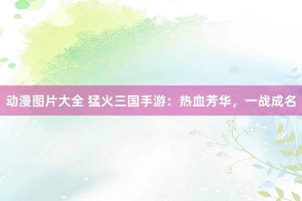 动漫图片大全 猛火三国手游：热血芳华，一战成名