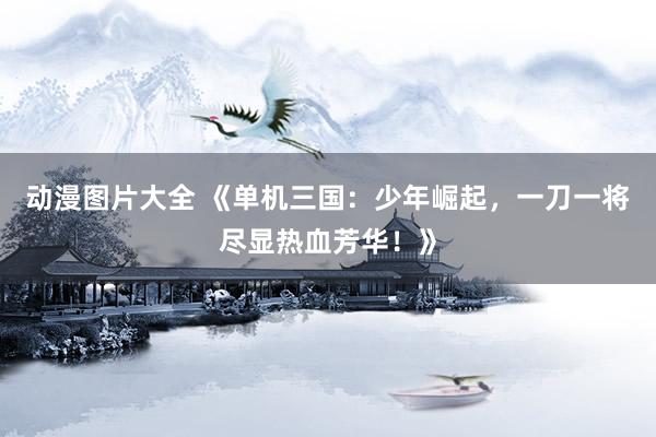 动漫图片大全 《单机三国：少年崛起，一刀一将尽显热血芳华！》
