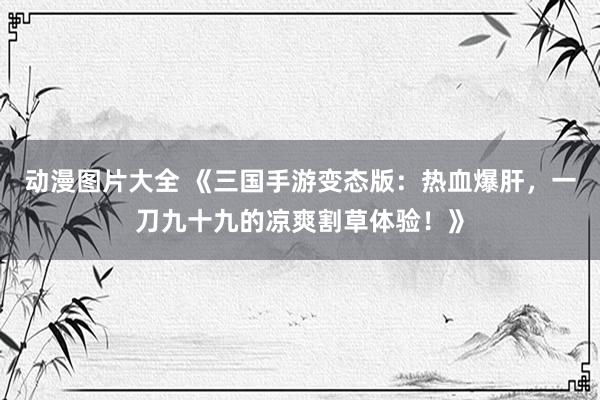动漫图片大全 《三国手游变态版：热血爆肝，一刀九十九的凉爽割草体验！》