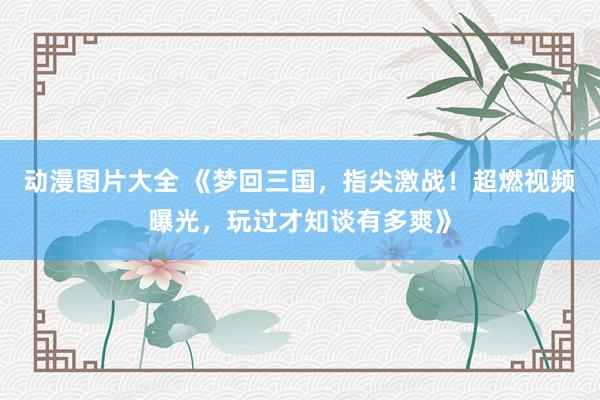 动漫图片大全 《梦回三国，指尖激战！超燃视频曝光，玩过才知谈有多爽》