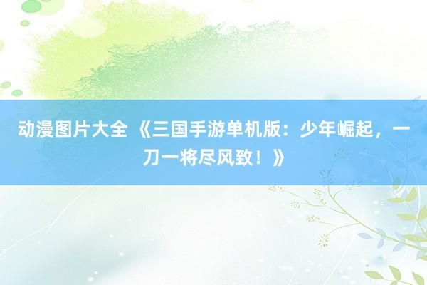 动漫图片大全 《三国手游单机版：少年崛起，一刀一将尽风致！》