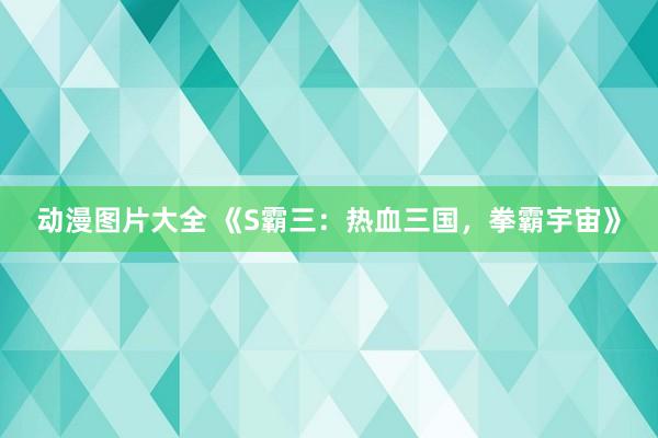 动漫图片大全 《S霸三：热血三国，拳霸宇宙》