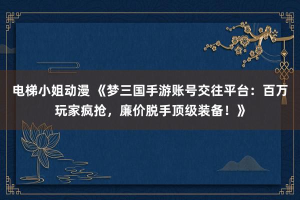 电梯小姐动漫 《梦三国手游账号交往平台：百万玩家疯抢，廉价脱手顶级装备！》