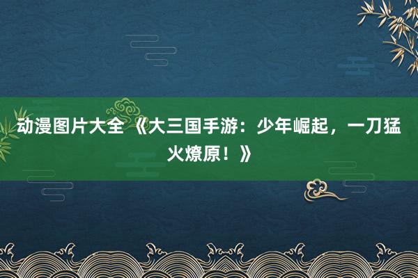 动漫图片大全 《大三国手游：少年崛起，一刀猛火燎原！》