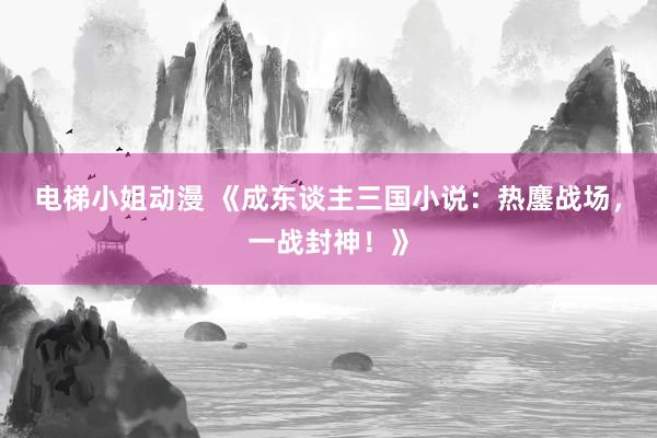 电梯小姐动漫 《成东谈主三国小说：热鏖战场，一战封神！》