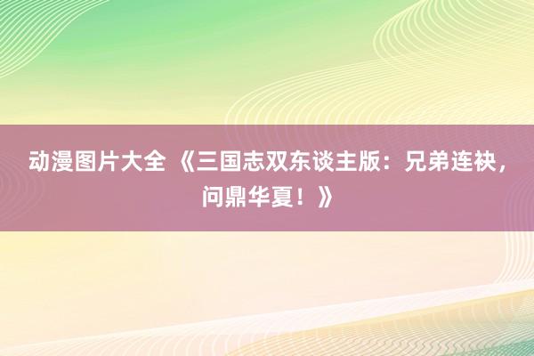 动漫图片大全 《三国志双东谈主版：兄弟连袂，问鼎华夏！》