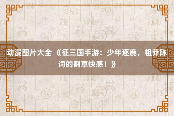 动漫图片大全 《征三国手游：少年逐鹿，粗莽陈词的割草快感！》