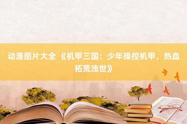 动漫图片大全 《机甲三国：少年操控机甲，热血拓荒浊世》