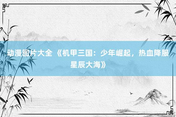 动漫图片大全 《机甲三国：少年崛起，热血降服星辰大海》