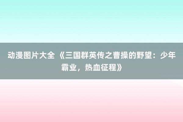 动漫图片大全 《三国群英传之曹操的野望：少年霸业，热血征程》