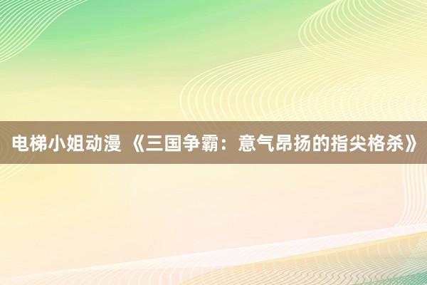 电梯小姐动漫 《三国争霸：意气昂扬的指尖格杀》